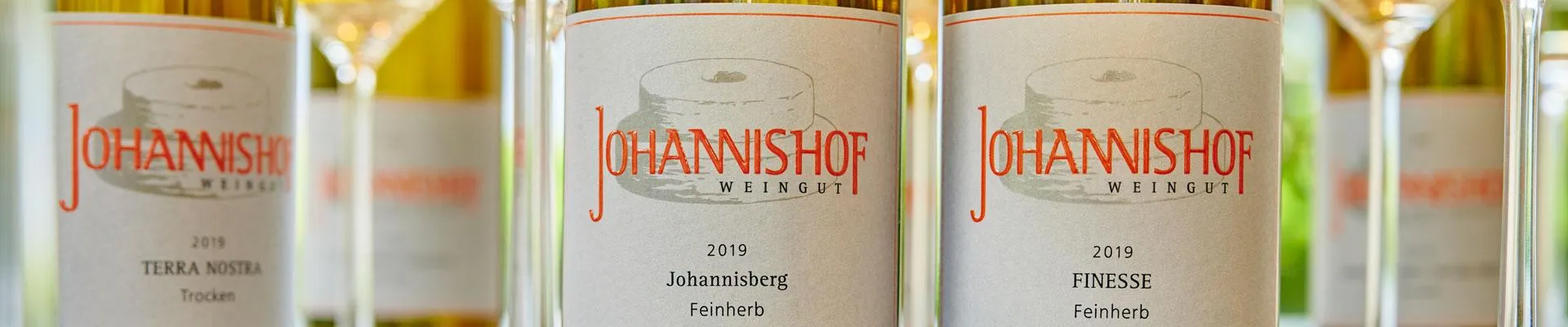 Riesling-Weinverkostung vor den Weinbergen des Rheingaus