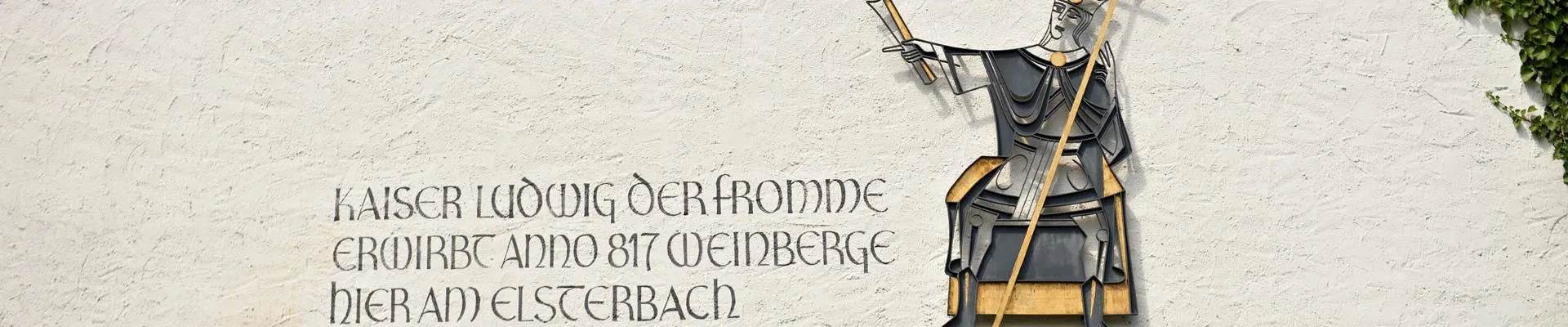 Weinberge des Johannishofs im Rheingau